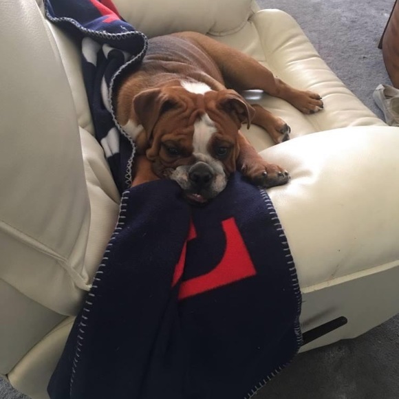 Meet your Posher, Haley - Picture 2 of 2